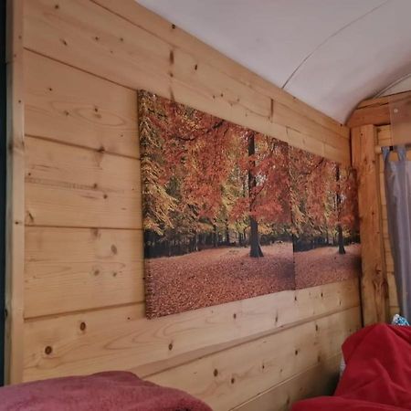Hotel Forsthaus Leiner Berg à Dessau-Rosslau Extérieur photo